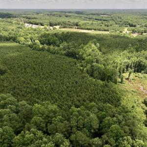 Photo #12 of Off Peachtree Hills Road, Spring Hope, NC 20.0 acres