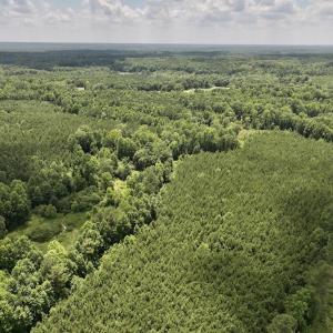 Photo #13 of Off Peachtree Hills Road, Spring Hope, NC 20.0 acres