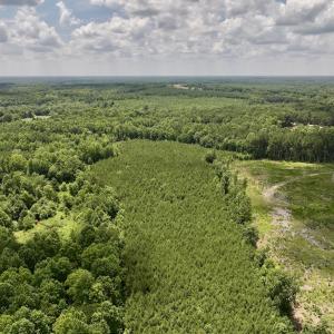 Photo #14 of Off Peachtree Hills Road, Spring Hope, NC 20.0 acres