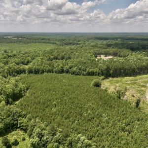 Photo #15 of Off Peachtree Hills Road, Spring Hope, NC 20.0 acres