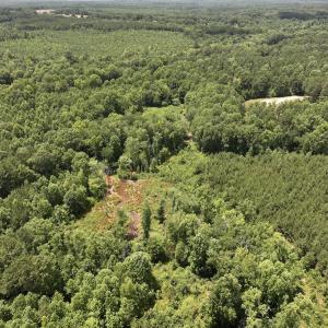 Photo #16 of Off Peachtree Hills Road, Spring Hope, NC 20.0 acres