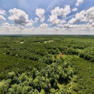Photo #5 of Off Peachtree Hills Road, Spring Hope, NC 20.0 acres