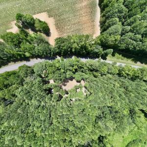 Photo #7 of Off Peachtree Hills Road, Spring Hope, NC 20.0 acres