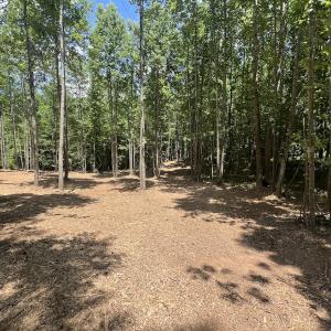 Photo #24 of Off Peachtree Hills Road, Spring Hope, NC 20.0 acres