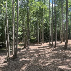 Photo #26 of Off Peachtree Hills Road, Spring Hope, NC 20.0 acres