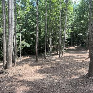 Photo #27 of Off Peachtree Hills Road, Spring Hope, NC 20.0 acres