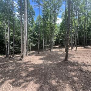 Photo #28 of Off Peachtree Hills Road, Spring Hope, NC 20.0 acres