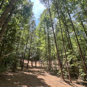 Photo #30 of Off Peachtree Hills Road, Spring Hope, NC 20.0 acres