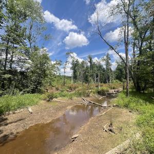 Photo #34 of Off Peachtree Hills Road, Spring Hope, NC 20.0 acres