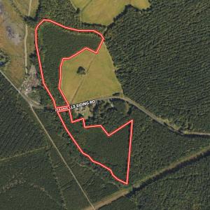 Photo #1 of SOLD property in 947 Harrells Siding Rd, Kelford, NC 34.5 acres