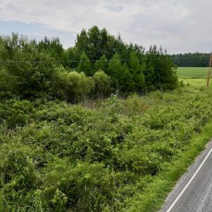 Photo #16 of SOLD property in 947 Harrells Siding Rd, Kelford, NC 34.5 acres