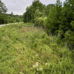 Photo #17 of SOLD property in 947 Harrells Siding Rd, Kelford, NC 34.5 acres