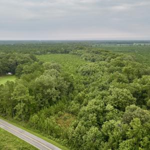 Photo #18 of SOLD property in 947 Harrells Siding Rd, Kelford, NC 34.5 acres