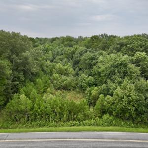 Photo #19 of SOLD property in 947 Harrells Siding Rd, Kelford, NC 34.5 acres