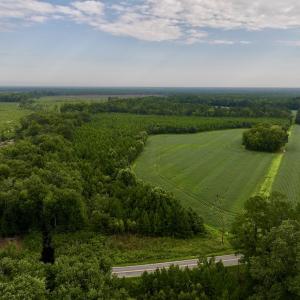Photo #7 of SOLD property in 947 Harrells Siding Rd, Kelford, NC 34.5 acres