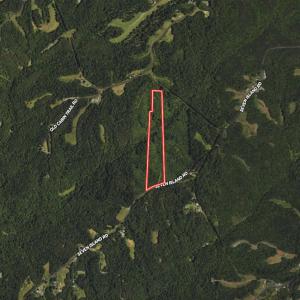 Photo #38 of SOLD property in 02 Seven Island Road, Danbury, NC 21.7 acres