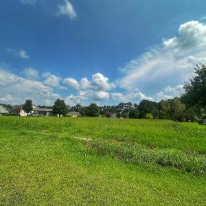 Photo #22 of SOLD property in 138 Bernice Blanton Dr, Teachey, NC 0.5 acres