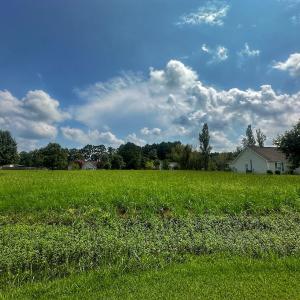 Photo #23 of SOLD property in 138 Bernice Blanton Dr, Teachey, NC 0.5 acres