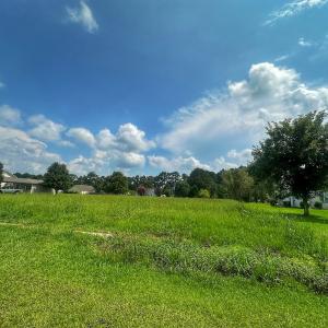 Photo #24 of SOLD property in 138 Bernice Blanton Dr, Teachey, NC 0.5 acres