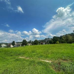 Photo #26 of SOLD property in 138 Bernice Blanton Dr, Teachey, NC 0.5 acres