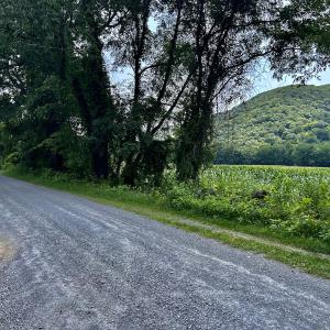 Photo #4 of SOLD property in 2888 Wheats Valley Rd, Bedford, VA 161.4 acres