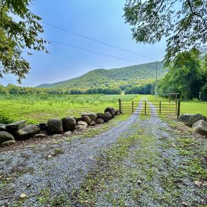 Photo #5 of SOLD property in 2888 Wheats Valley Rd, Bedford, VA 161.4 acres
