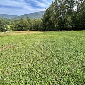 Photo #57 of SOLD property in 2888 Wheats Valley Rd, Bedford, VA 161.4 acres