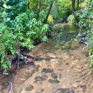Photo #66 of SOLD property in 2888 Wheats Valley Rd, Bedford, VA 161.4 acres