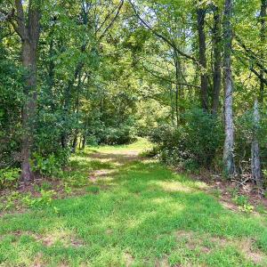 Photo #67 of SOLD property in 2888 Wheats Valley Rd, Bedford, VA 161.4 acres