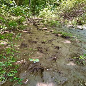 Photo #70 of SOLD property in 2888 Wheats Valley Rd, Bedford, VA 161.4 acres