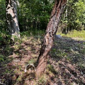 Photo #72 of SOLD property in 2888 Wheats Valley Rd, Bedford, VA 161.4 acres