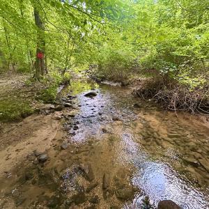 Photo #73 of SOLD property in 2888 Wheats Valley Rd, Bedford, VA 161.4 acres