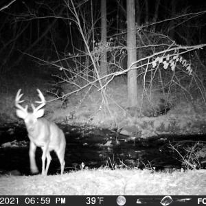 Photo #75 of SOLD property in 2888 Wheats Valley Rd, Bedford, VA 161.4 acres