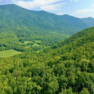Photo #80 of SOLD property in 2888 Wheats Valley Rd, Bedford, VA 161.4 acres