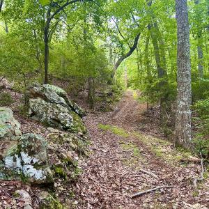 Photo #83 of SOLD property in 2888 Wheats Valley Rd, Bedford, VA 161.4 acres