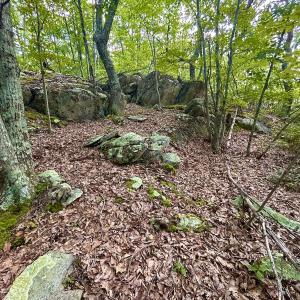 Photo #84 of SOLD property in 2888 Wheats Valley Rd, Bedford, VA 161.4 acres