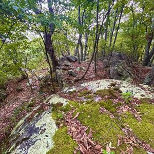 Photo #85 of SOLD property in 2888 Wheats Valley Rd, Bedford, VA 161.4 acres
