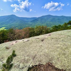 Photo #89 of SOLD property in 2888 Wheats Valley Rd, Bedford, VA 161.4 acres