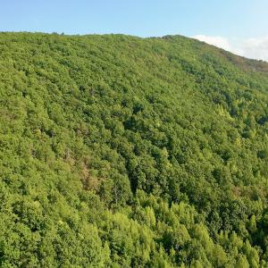 Photo #90 of SOLD property in 2888 Wheats Valley Rd, Bedford, VA 161.4 acres