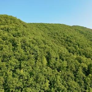 Photo #91 of SOLD property in 2888 Wheats Valley Rd, Bedford, VA 161.4 acres