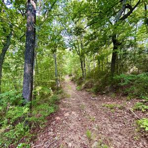 Photo #93 of SOLD property in 2888 Wheats Valley Rd, Bedford, VA 161.4 acres