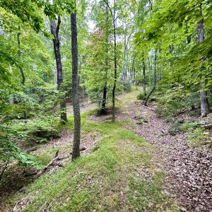Photo #94 of SOLD property in 2888 Wheats Valley Rd, Bedford, VA 161.4 acres