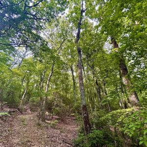 Photo #95 of SOLD property in 2888 Wheats Valley Rd, Bedford, VA 161.4 acres