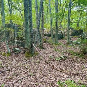 Photo #97 of SOLD property in 2888 Wheats Valley Rd, Bedford, VA 161.4 acres