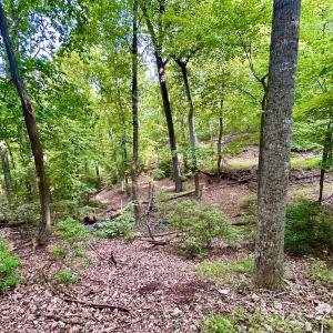 Photo #99 of SOLD property in 2888 Wheats Valley Rd, Bedford, VA 161.4 acres