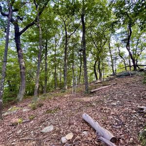 Photo #100 of SOLD property in 2888 Wheats Valley Rd, Bedford, VA 161.4 acres