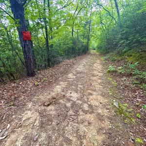 Photo #101 of SOLD property in 2888 Wheats Valley Rd, Bedford, VA 161.4 acres