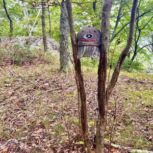 Photo #102 of SOLD property in 2888 Wheats Valley Rd, Bedford, VA 161.4 acres