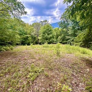 Photo #103 of SOLD property in 2888 Wheats Valley Rd, Bedford, VA 161.4 acres