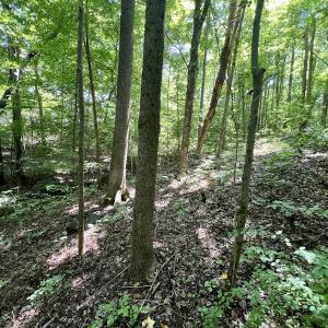 Photo #2 of SOLD property in Off Sunnyside Dr, Lexington, NC 0.8 acres